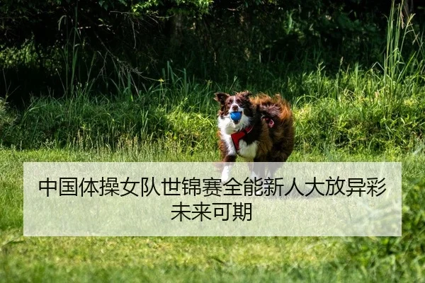中国体操女队世锦赛全能新人大放异彩 未来可期